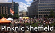 Pinknic Sheffield Pride Flags